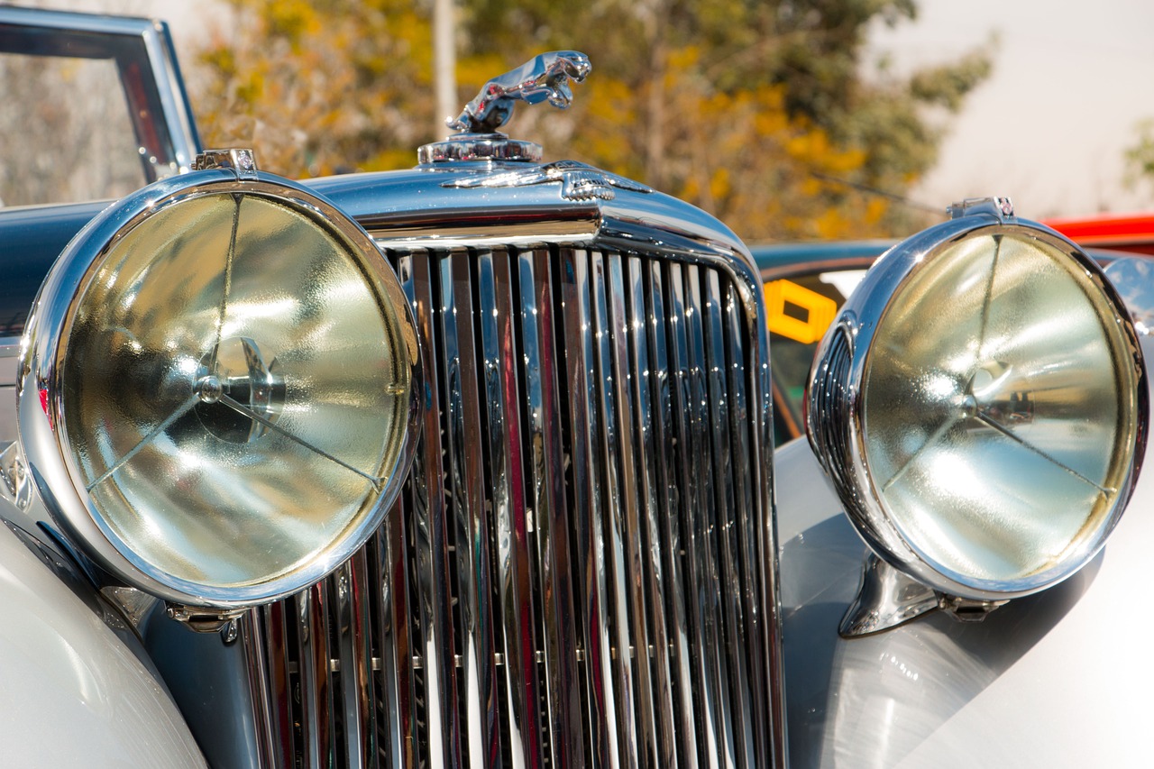 身体素质对技术支持使用的影响 