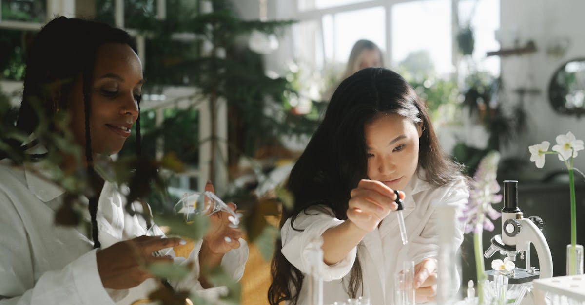 炸房器|快乐语文注册账号