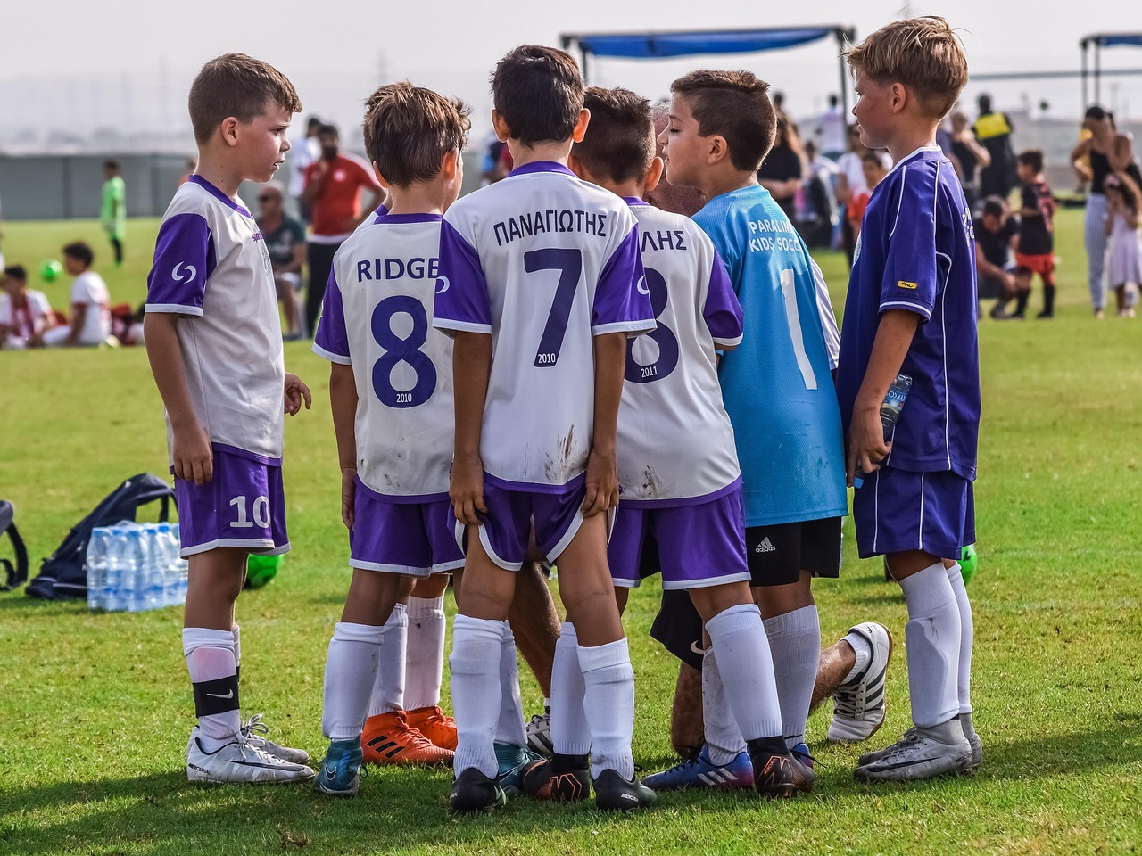 京东云实名账号：拼夺宝App详情下载教程