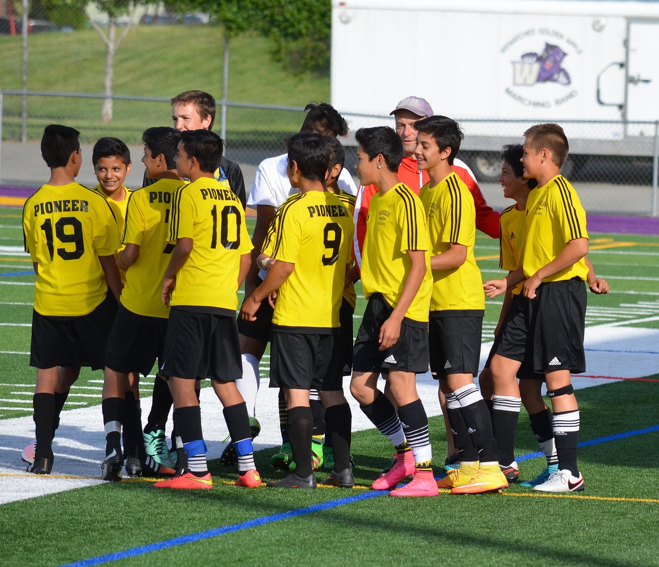 ZEST星空侧推芒果爆珠：代理公司注册什么价格