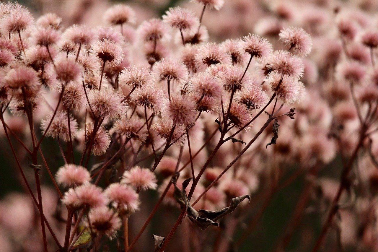 在线DDOS压力测试网页端|如何从历史与经验里汲取网络安全的经验教训